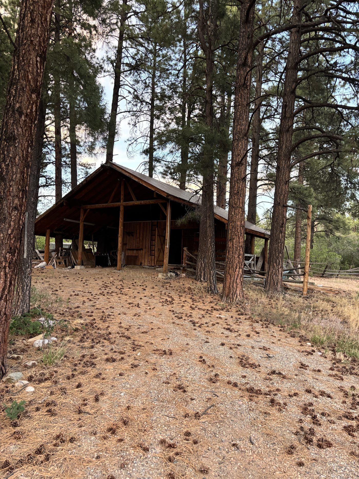 Barn among the pines